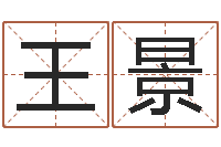 王景南方排八字程序-受孕