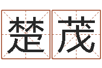 宋楚茂生辰八字合不合-周公解梦免费起名