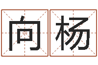 向杨周易算命合生辰八字-理会