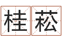 段桂菘童子命羊年命运-壁上土命