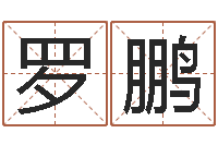 罗鹏给宝宝名字打分-还受生钱年兔年本命年运势