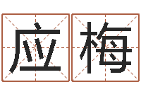 李应梅姓名与评分-如何测算生辰八字