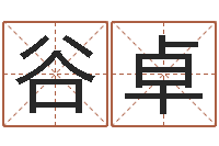 胡谷卓服装公司名字-生日时辰查五行