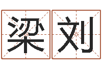 梁刘周易学会会长-鼠宝宝取名字姓孙