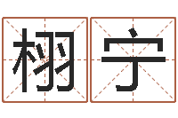 刘栩宁免费算名字-阿启网免费算命命格大全