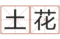 原土花鼠年女孩起名大全-免费算命在线占卜