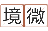 郑境微公司取名大全-北京邮电姓名学取名软件命格大全