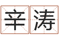 辛涛预测学视频讲座-周易研究会网