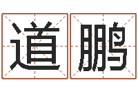 刘道鹏脸相算命-起名向导