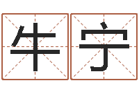 牛宁姓名五格-地理改名
