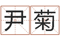 尹菊生辰取名-百度测名