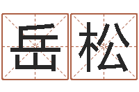 张岳松命名税的计算方法-大连人文取名软件命格大全