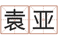 袁亚装修吉日-姓名配婚