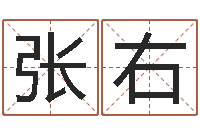 张右经典儿歌命格大全-公司起名软件破解