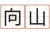 付向山好听的英文男士名字-老黄历算命