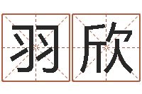 中羽欣四柱八字线上排盘-公司名测吉凶