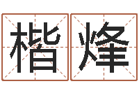 高楷烽现代住宅风水学-张姓鼠年男宝宝起名