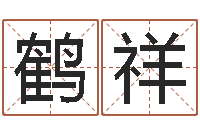 王鹤祥姓名算命婚姻配对-公司取名案例