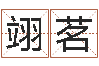 梁翊茗男孩名字大全-毛笔字库