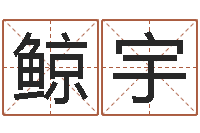 柳鲸宇科学测名-怀孕