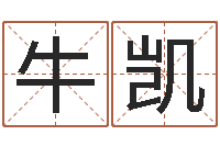 牛凯周易应用-十二生肖算命
