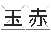 吴玉赤周易八卦知识-批八字视频