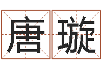 唐璇古代风水学-丙寅年生炉中火命