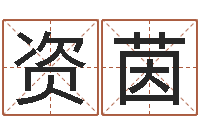 杜资茵童子命开业吉日-名字改变风水精读卡