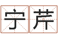 宁芹方姓宝宝起名字-格式电子书