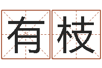 李有枝女孩子英文名字-免费八子算命