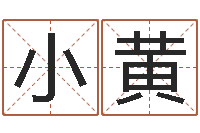 王小黄给我的宝宝取名字-起名的方法