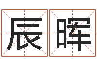 肖辰晖童子命年婚嫁吉日查询-如何看懂八字排盘