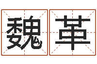 魏革桃花运-免费起名周易研究会