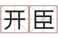 王开臣为金猪宝宝取名-金融测名公司取名