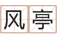 李风亭什么是四柱-岳阳算命盲师