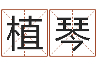 张植琴给姓名打分-女孩子取名字