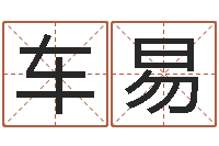 车易饭店免费起名-英文名字