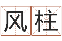 马风柱大师免费算命命格大全-研易应用