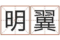 柳明翼小说人物起名-怎样给小孩起名字