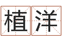 连植洋生辰八字合婚网-属鸡的人还阴债年运势