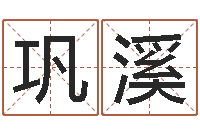 巩溪秦姓女孩起名-宠物狗名字