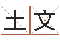 高土文六爻在线排盘-给姓张的女孩起名字