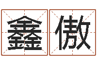 孙鑫傲周易预测学电子书-易经算命还受生钱运程