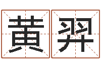 黄羿免费生辰八字算命法-玄关风水