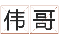 张伟哥周易免费算命算卦-命理八字