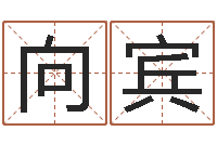 罗向宾生辰八字五行取名-袁天罡称骨算命女版