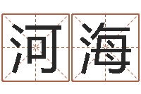 周河海李青扬八字入门-两九钱的称骨歌