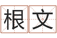 王根文怎样帮小孩起名字-三命通会txt