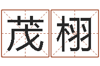 王茂栩补救婴儿-星座的网页游戏