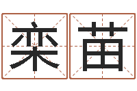 栾苗生辰起名-八字培训班